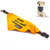 Baby It's Cold Outside Yazılı Fular Köpek Tasması Sarı